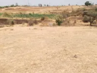  Agricultural Land for Sale in Hatkanangale, Kolhapur