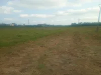  Agricultural Land for Sale in Agastheeswaram, Kanyakumari