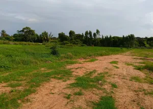 Industrial Land for Sale in Dabaspete, Bangalore