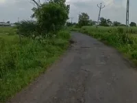 Agricultural Land for Sale in Boidara, Ankleshwar