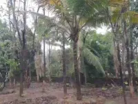 Agricultural Land for Sale in Sawantwadi, Sindhudurg