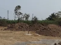 Agricultural Land for Sale in Daund, Pune