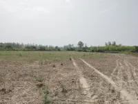  Agricultural Land for Sale in Shahabad, Rampur