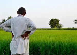  Residential Plot for Sale in Machareddy, Nizamabad