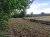  Residential Plot for Sale in Dera Gopipur, Kangra
