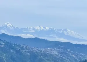 Residential Plot for Sale in Ranikhet, Almora
