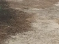  Residential Plot for Sale in Baraula Bypass, Aligarh