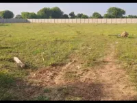  Residential Plot for Sale in Dahegam, Gandhinagar