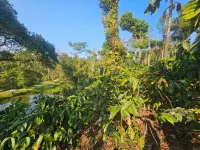  Agricultural Land for Sale in Bangalore Hyderabad Road