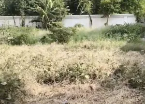 Commercial Land for Rent in Mumford Ganj, Allahabad