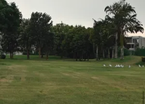  Residential Plot for Sale in Sunny Enclave, Mohali