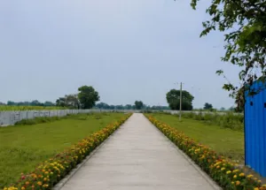  Commercial Land for Sale in Yamuna Expressway, Mathura