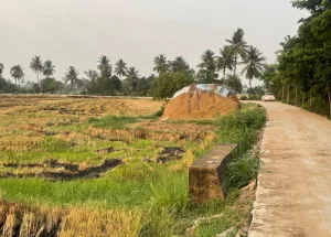  Agricultural Land for Sale in Samalkota, Kakinada