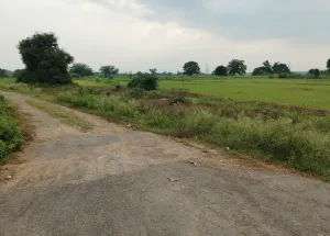 8 Bigha Agricultural/Farm Land for Sale in Chunar, Mirzapur-cum-Vindhyachal