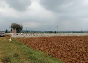 6 Bigha Agricultural/Farm Land for Sale in Chunar, Mirzapur-cum-Vindhyachal