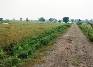 36 Bigha Agricultural/Farm Land for Sale in Lalganj, Mirzapur-cum-Vindhyachal