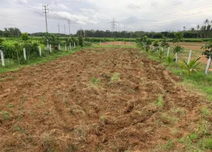  Residential Plot for Sale in Devanahalli, Bangalore