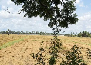  Agricultural Land for Sale in ADB Road, Kakinada