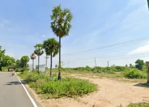  Residential Plot for Sale in Chinthamani, Madurai