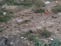 Residential Plot for Sale in Sultanpur, Varanasi