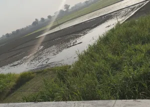  4048 Sq. Meter Agricultural/Farm Land for Sale in Jaura Singha, Batala