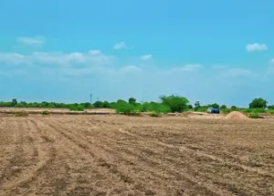  Residential Plot for Sale in Sanand, Ahmedabad