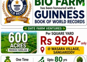  Agricultural Land for Sale in Narayankhed, Sangareddy