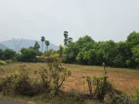  Agricultural Land for Sale in Mallur, Salem