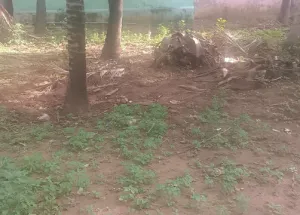  Residential Plot for Sale in Nagercoil, Kanyakumari