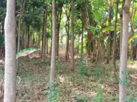  Agricultural Land for Sale in Chamarajapuram, Mysore