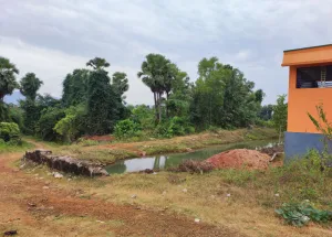Agricultural Land for Sale in Sabbavaram, Visakhapatnam