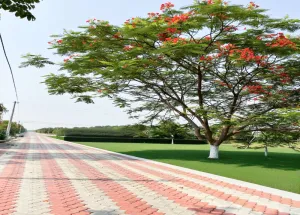 1.5 BHK Flat for Sale in Panchgachia, Asansol