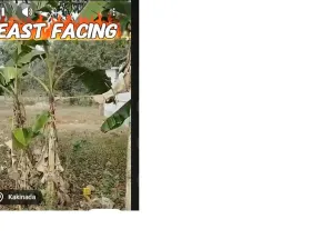  Residential Plot for Sale in Patharlagadda Panchayat, Kakinada, Kakinada