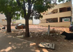 Residential Plot for Sale in Papareddy Palya, Nagarbhavi, Bangalore