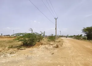  Residential Plot for Sale in KK Nagar, Tiruchirappalli