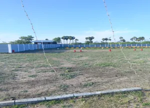  Residential Plot for Sale in Kallikudi, Madurai