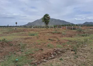 43560 Sq.ft. Residential Plot for Sale in Chengam, Tiruvannamalai