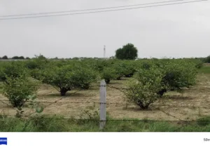 Residential Plot for Sale in Sanand Nalsarovar Road, Ahmedabad