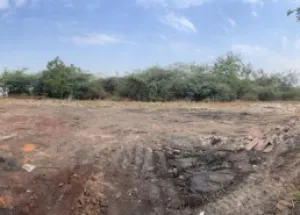 Commercial Land for Sale in Rajura, Chandrapur