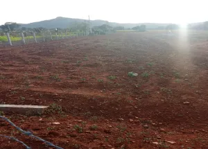 Agricultural Land for Sale in Nanjungud Road, Mysore