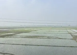  Agricultural Land for Rent in Barh, Patna