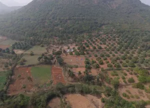 Agricultural Land for Sale in Narsipatnam, Visakhapatnam
