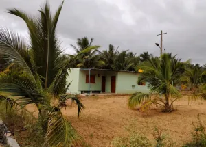 Agricultural Land for Sale in Herohalli, Bangalore