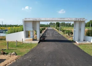  Residential Plot for Sale in Turangi, Kakinada