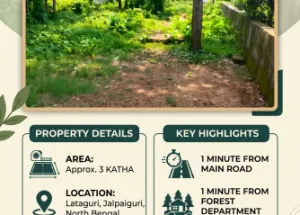  Residential Plot for Sale in Lataguri, Jalpaiguri