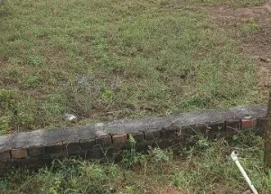 Residential Plot for Sale in Shamshabad Road, Agra