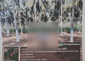  Agricultural Land for Sale in Nachipalayam, Coimbatore