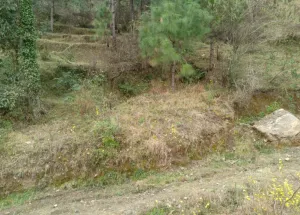 Residential Plot for Sale in Deoghat, Solan