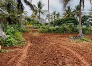  Agricultural Land for Sale in Ramanagara, Bangalore