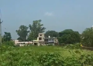  Agricultural Land for Sale in Bassi Pathana, Fatehgarh Sahib